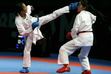 Tingkatan Kelas yang Dipertandingkan Dalam Karate - Blog Karate Collection