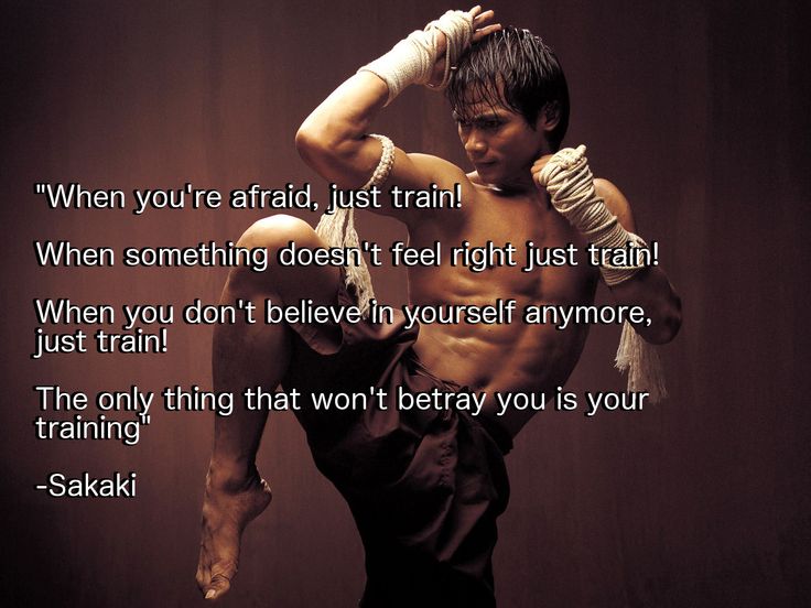 reddit: the front page of the internet | Martial arts quotes, Martial