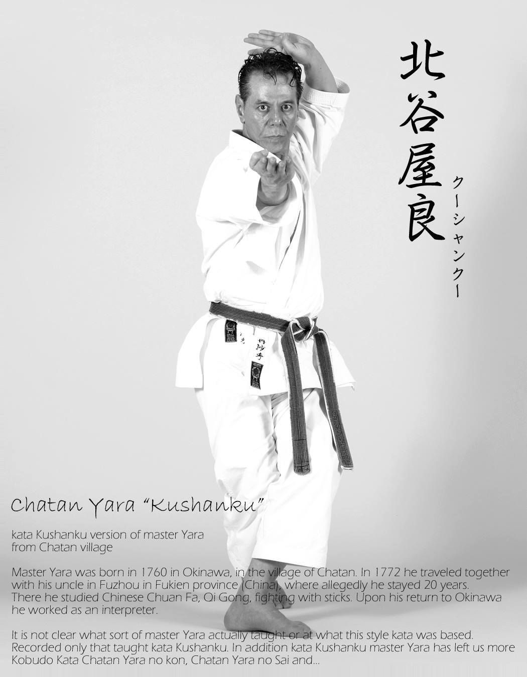 Pin by Dave Wolfe on Shito-ryu karate | Karate martial arts, Shotokan