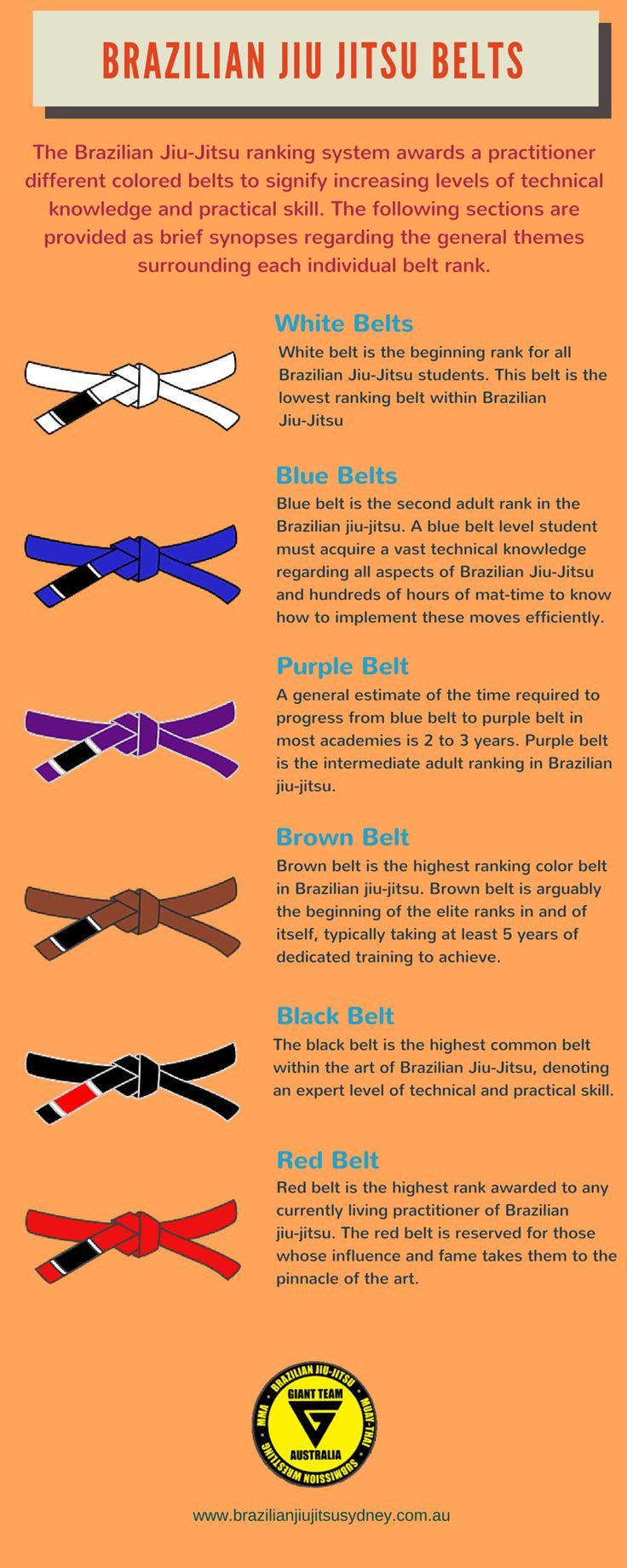 In Brazilian Jiu Jitsu, the belts are the indicator of a players