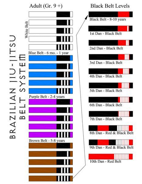 White Belt Survival Strategy: BJJ Promotions, and Lack Thereof