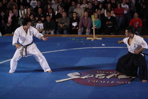 Kyokushin Derivatives - Enshin Karate • Enso Gi