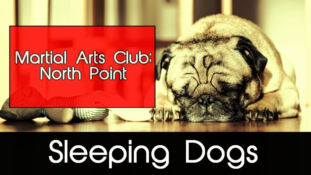 Sleeping Dogs (PS4): Martial Arts Club North Point / Grappling is your