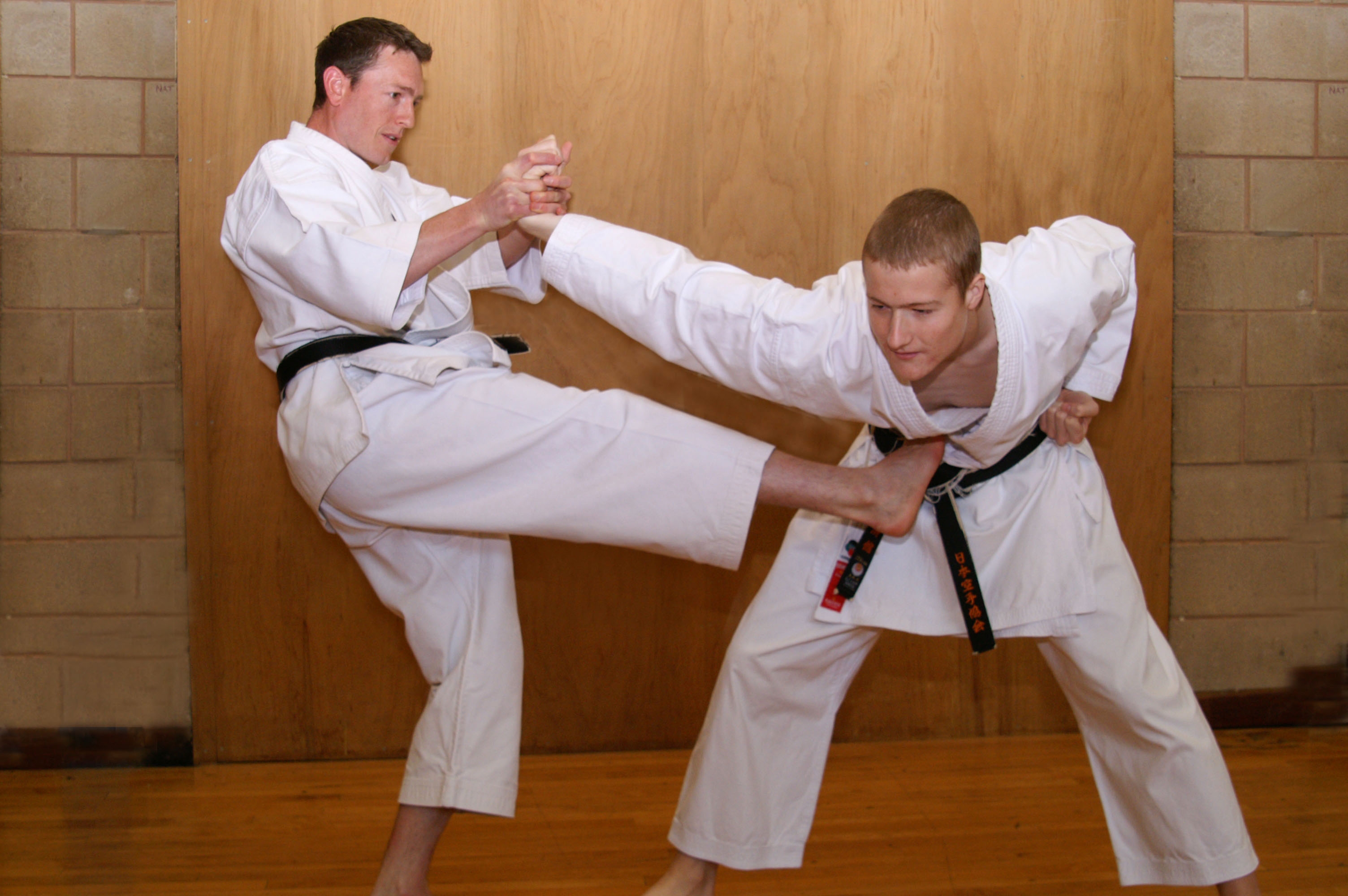 Karate Powerful Strikes