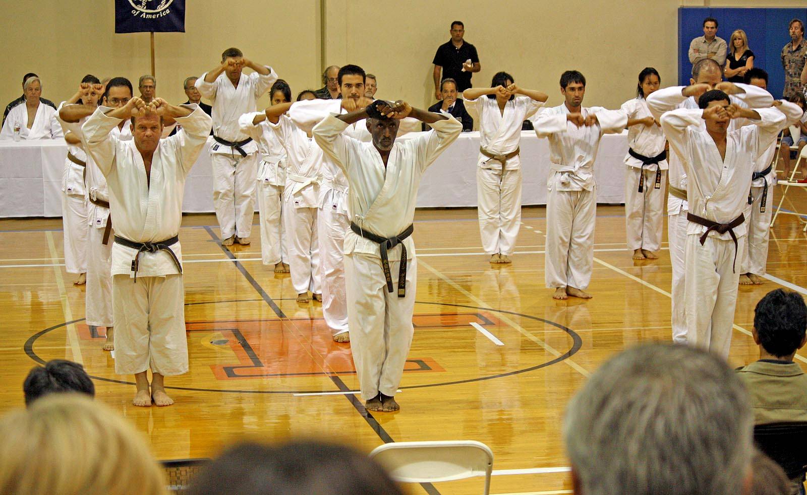 Benefits of Karate Practice – Shotokan Karate of America