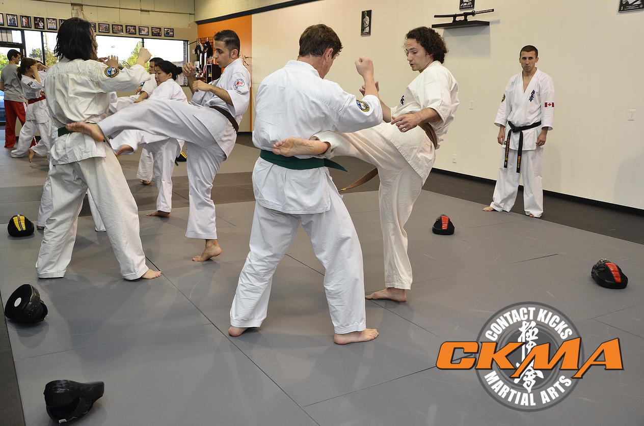 The Beginner’s Guide to Kyokushin Karate - The Martial Way