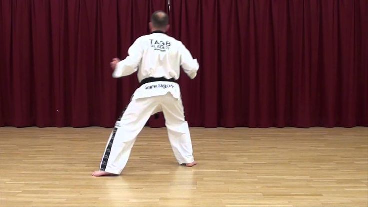 TAGB TAEKWONDO White Belt Beginner Exercise Saju Jirugi 15 Moves