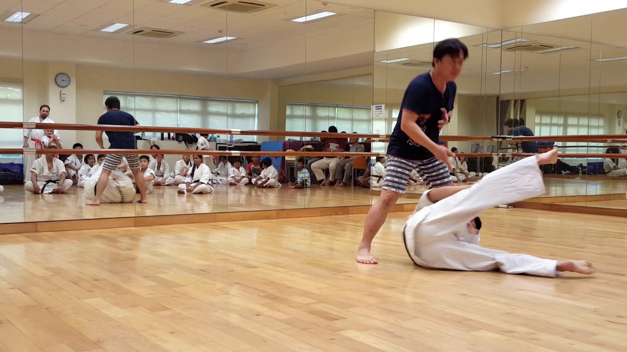 Ashihara Karate: Breaking down the Basics - YouTube