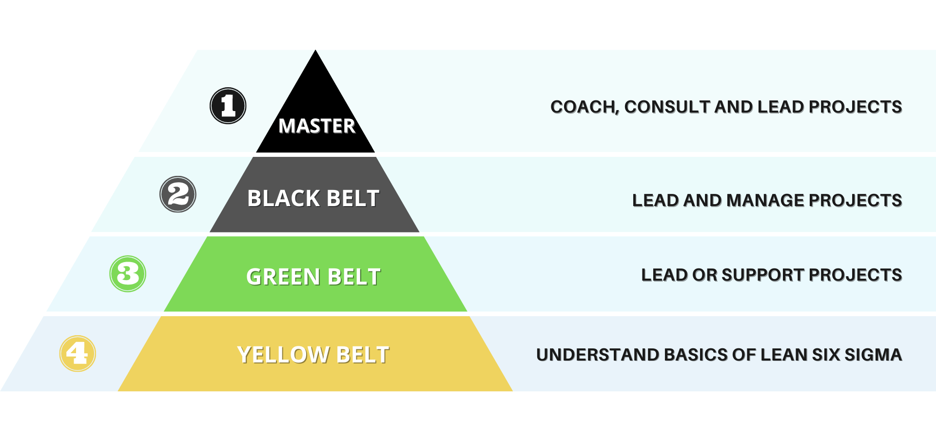 Six Sigma Belts - Which Lean Six Sigma Belt Should I Take?