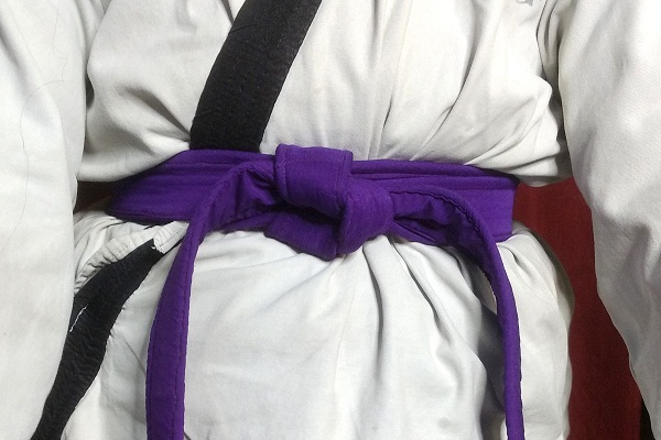 Dark Purple Belt Karate Meaning in Hindi | जानिए कराटे में गहरी बैंगनी
