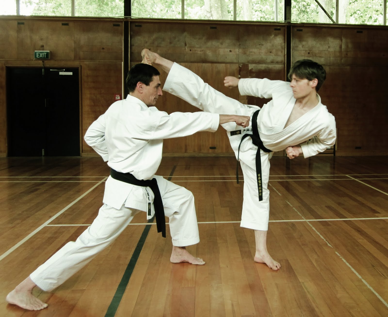 Karate Health Benefits