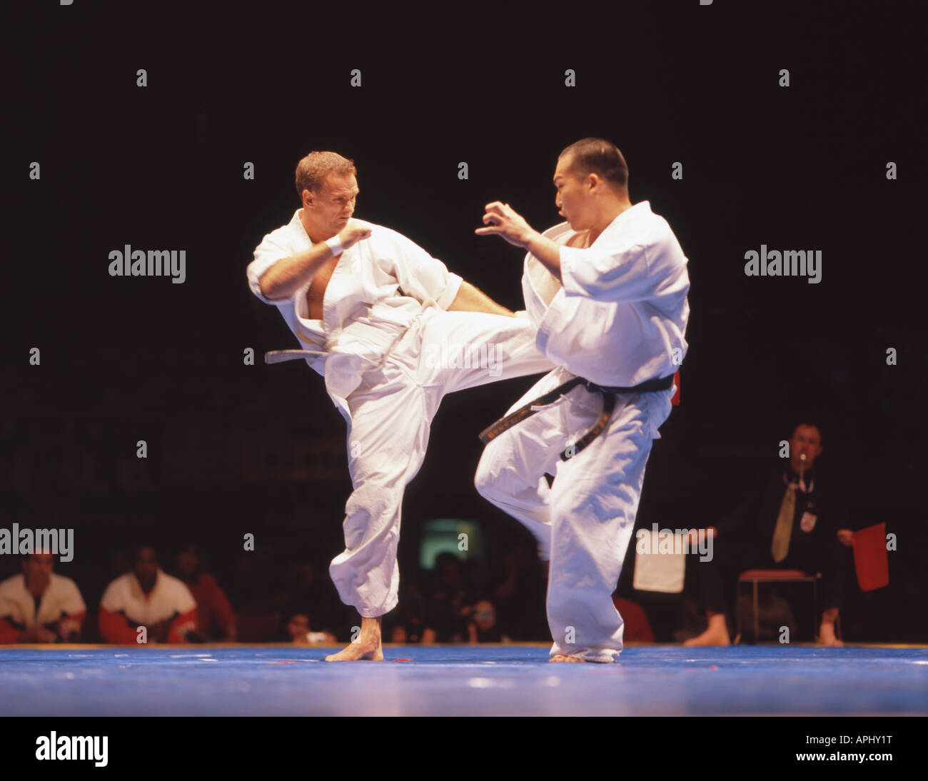 Kyokushin World Karate Championship Stock Photo, Royalty Free Image