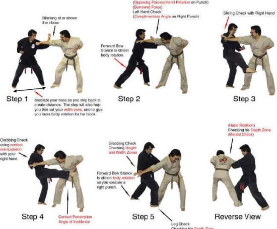 American Kenpo Techniques | Instructional Journals | Martial Arts