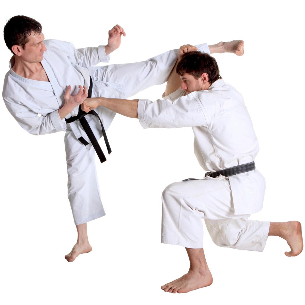 Karate Moves - A Guide to the Basic Blocks, Strikes, and Kicks - Sports
