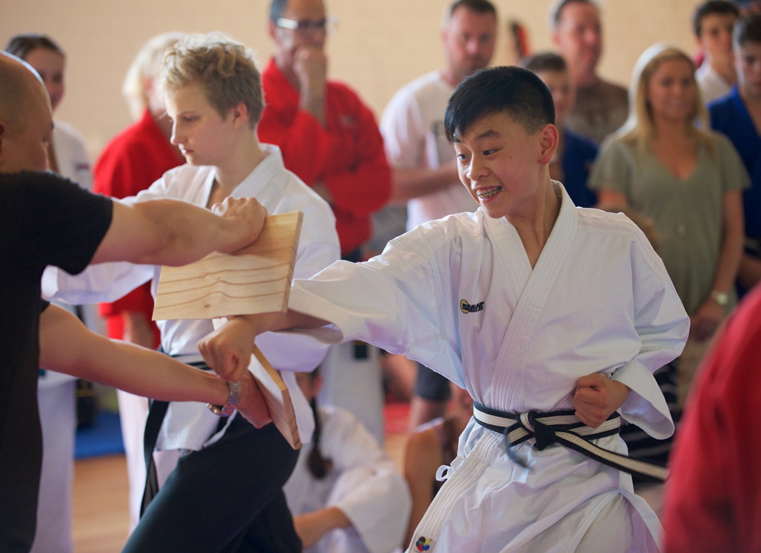 Black Belt Martial Arts - Kids Birthday Parties