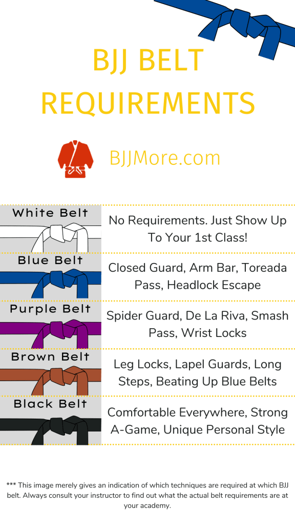 BJJ Belt Requirements And Curriculum - 5 Easy Steps