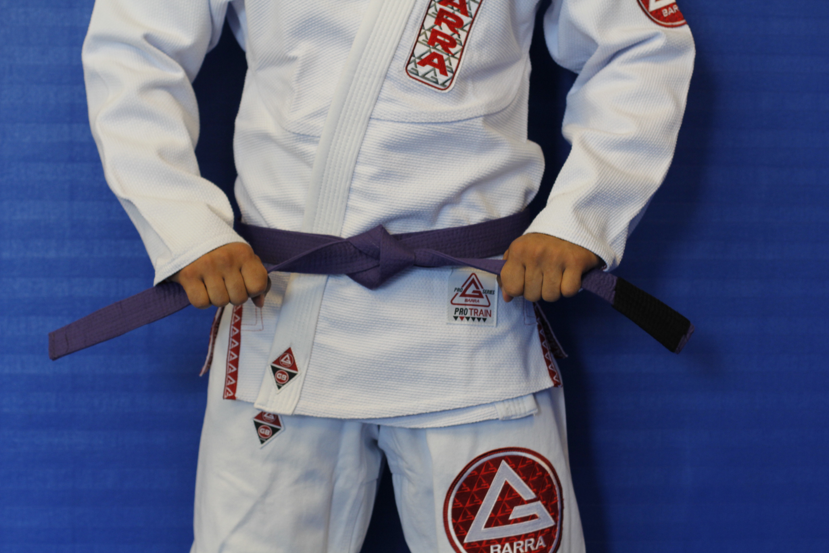 The Purple Belt in Bjj | Gracie Barra - Brazilian Jiu-Jitsu - Martial