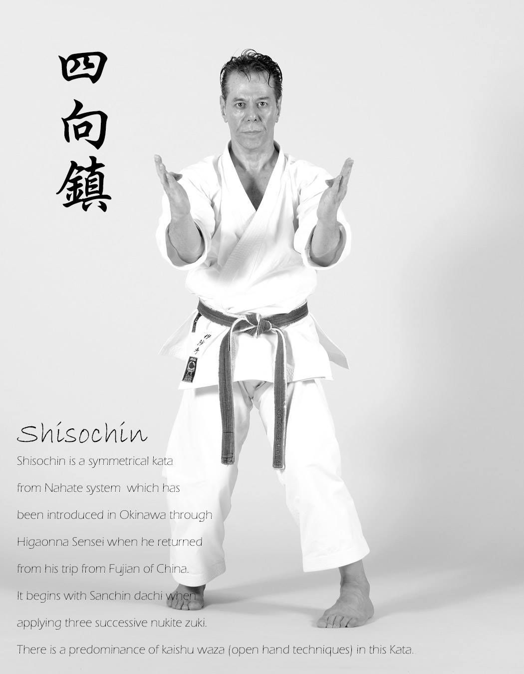 Pin on Shito-ryu karate