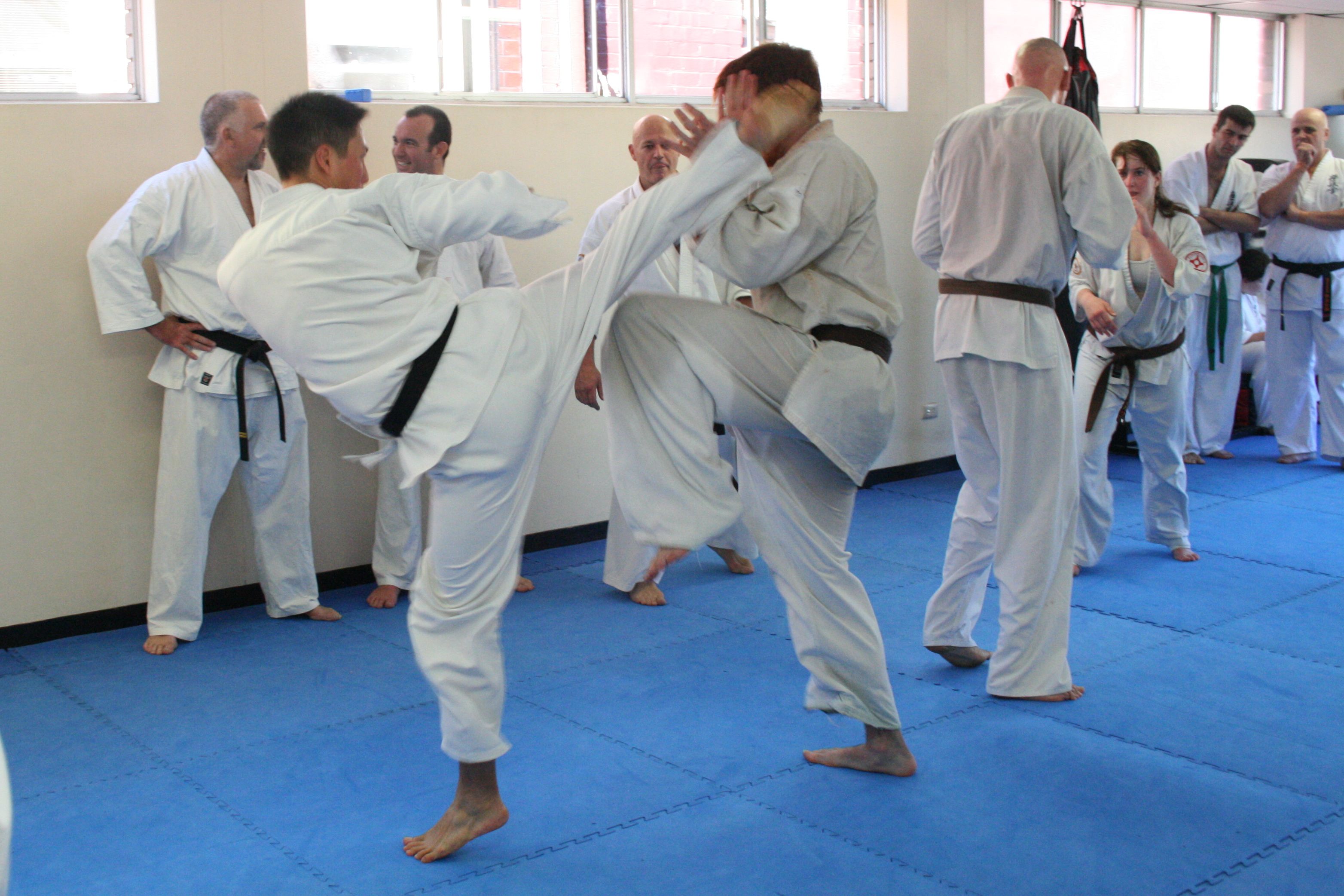 Kyokushin Kumite | Karate