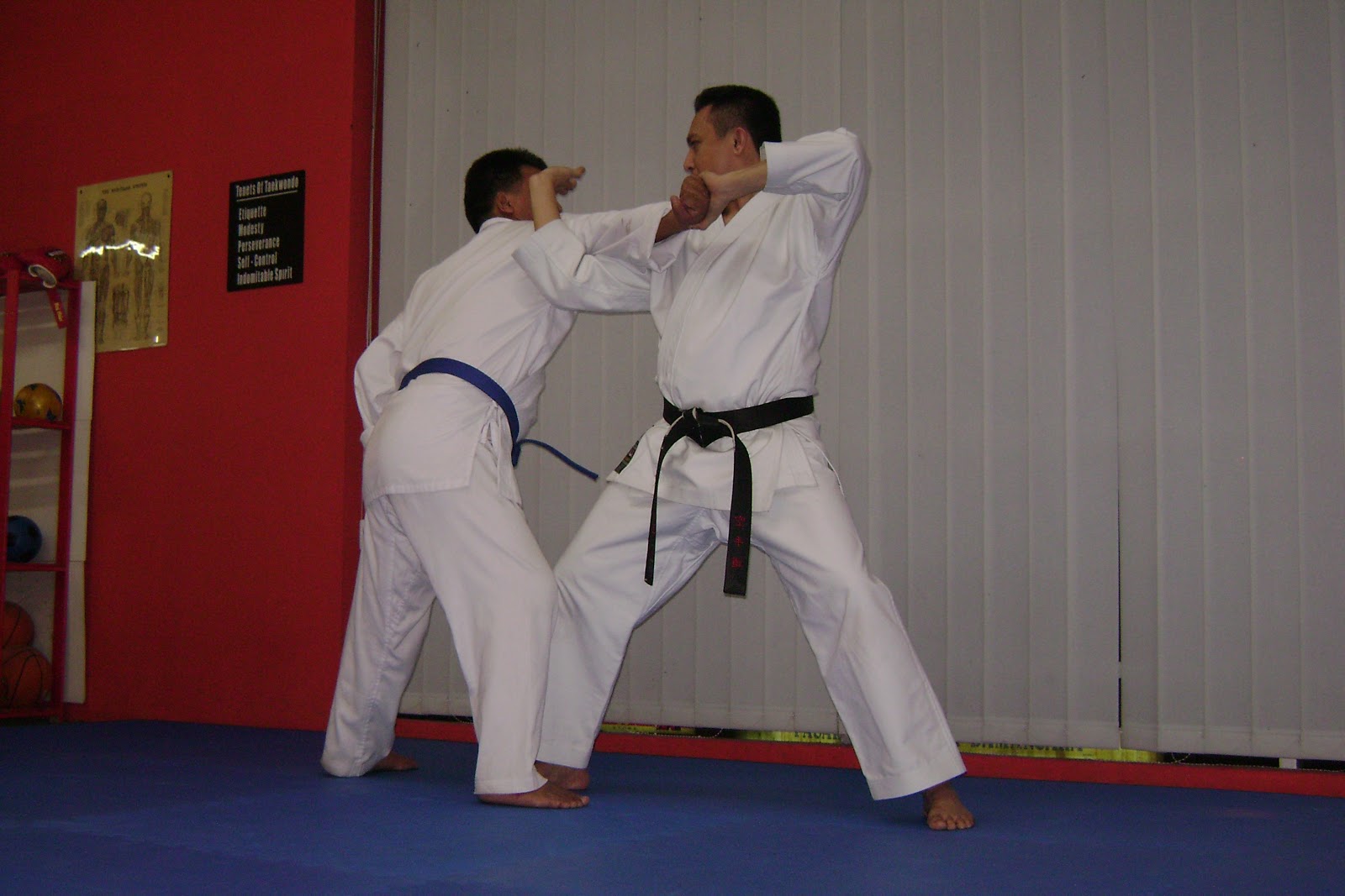 Karate Academy: Ippon Karate Academy