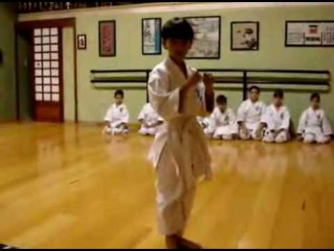 Kata Karate Do Ejecutado Por Un Cinturon Blanco - YouTube