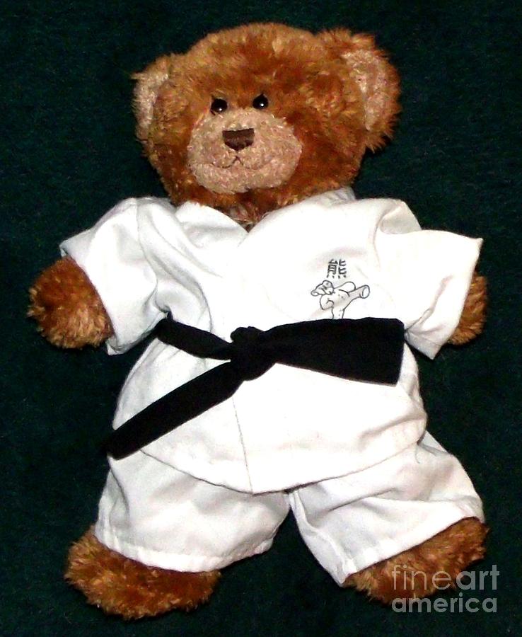 Martial Arts Karate Teddy Bear Photograph by Gail Matthews