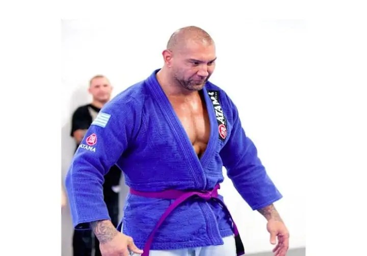 BJJ Purple belt meaning & what should a Purple belt know? - BjjTribes