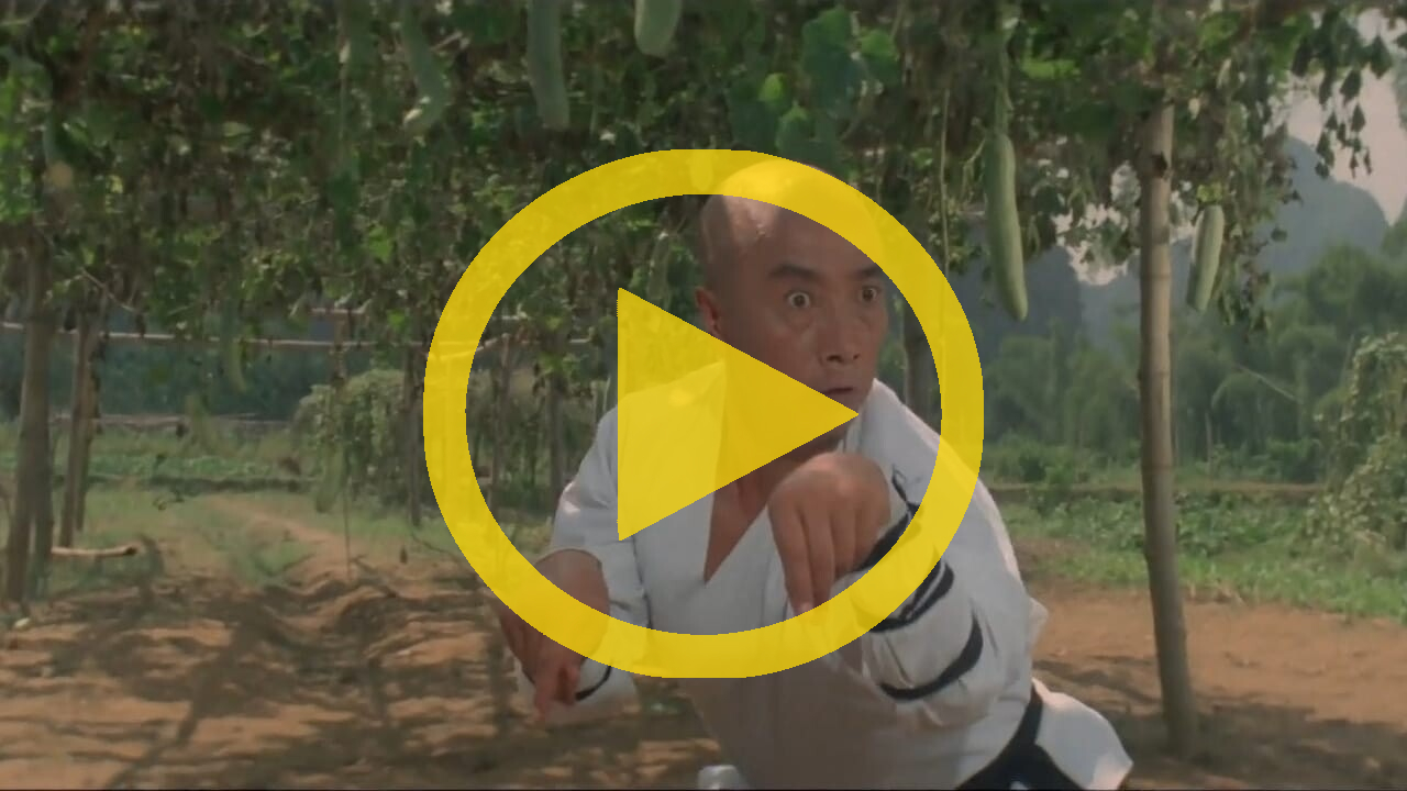 Martial Arts of Shaolin (1986) - Official HD Trailer