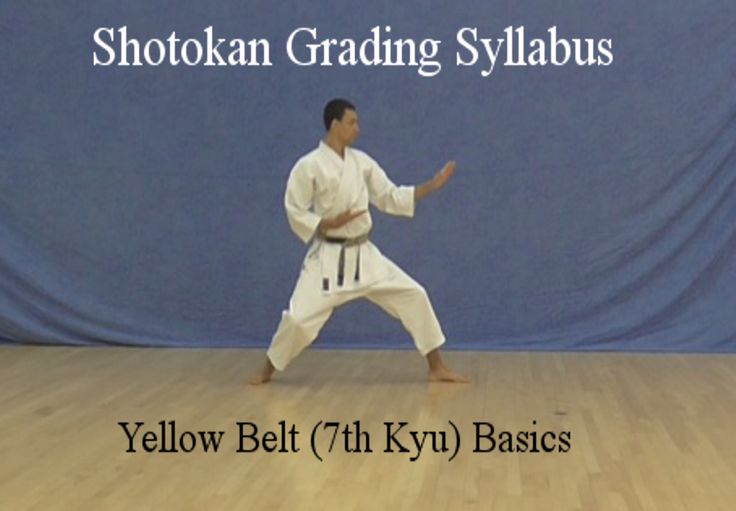 Our yellow belt shotokan karate syllabus comprises of single techniques