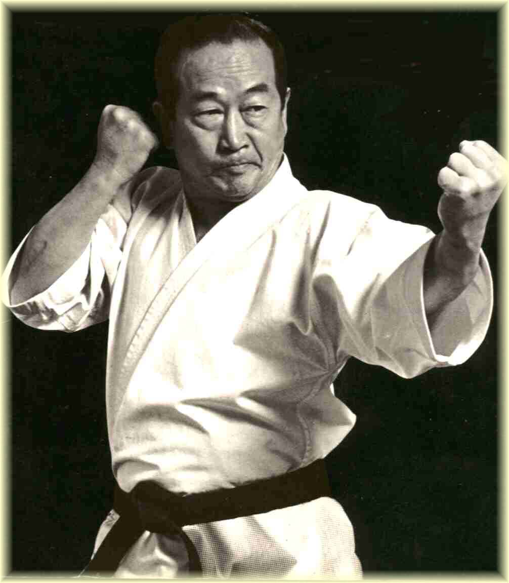 Shotokan Karate - art of the empty hand: The best karate