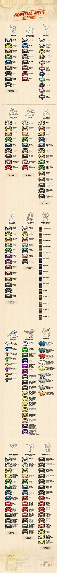 Martial Arts Belts Infographic