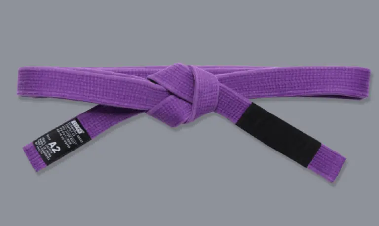 THE BJJ COLORED BELT SYSTEM - Jiu-Jitsu ranks - Jiujitsu News