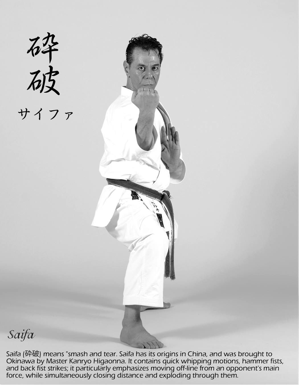 Пин от пользователя Dave Wolfe на доске Shito-ryu karate | Каратэ