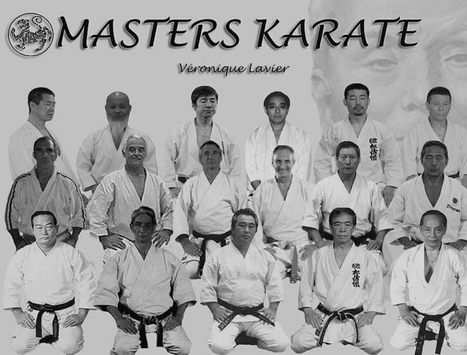 SKIF Master Karate | Karate, Shotokan karate, Shotokan