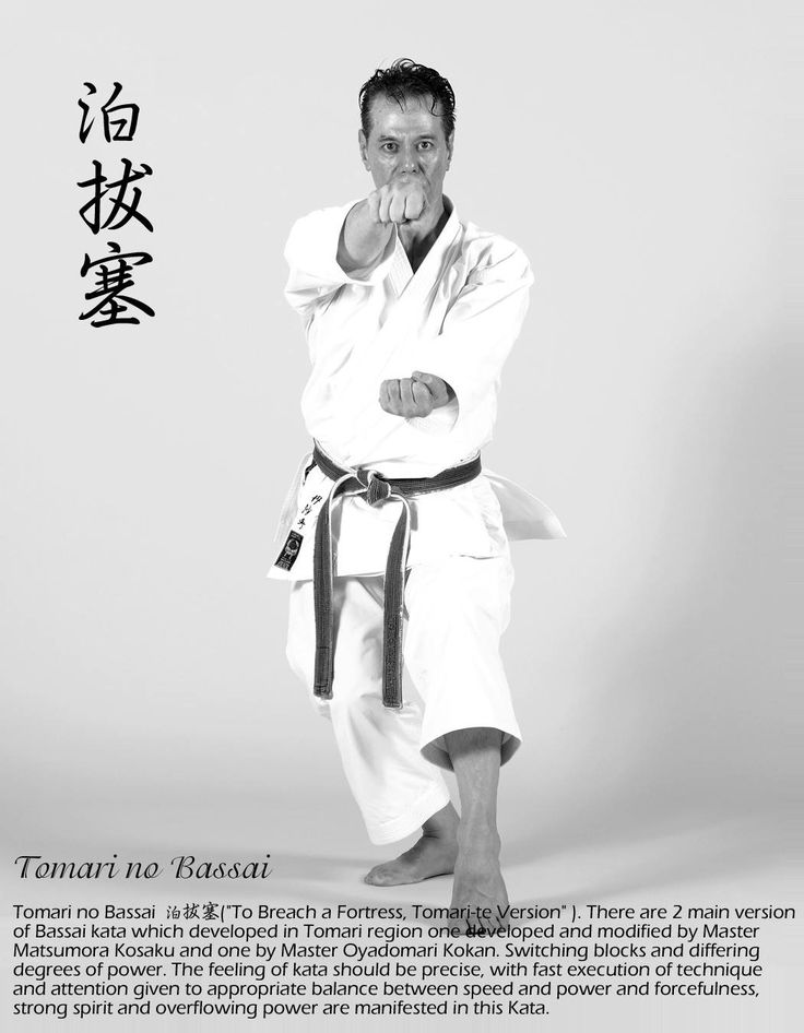 Pin by Dave Wolfe on Shito-ryu karate | Martial arts, Shotokan karate