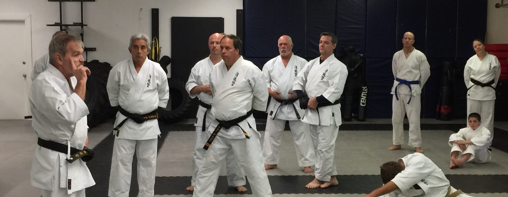 National Uechi Ryu Karate Seminar in Largo Florida | Video