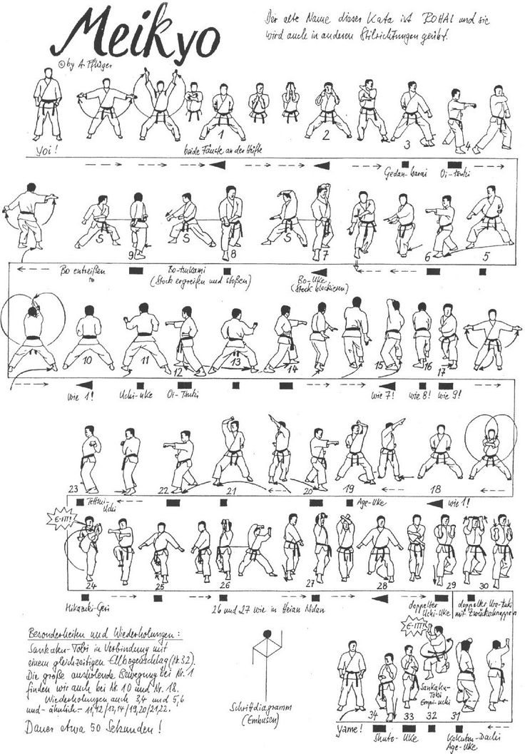 Shorin Ryu Kata Diagrams | Shotokan Karate Katas | Shorin RYU Karate