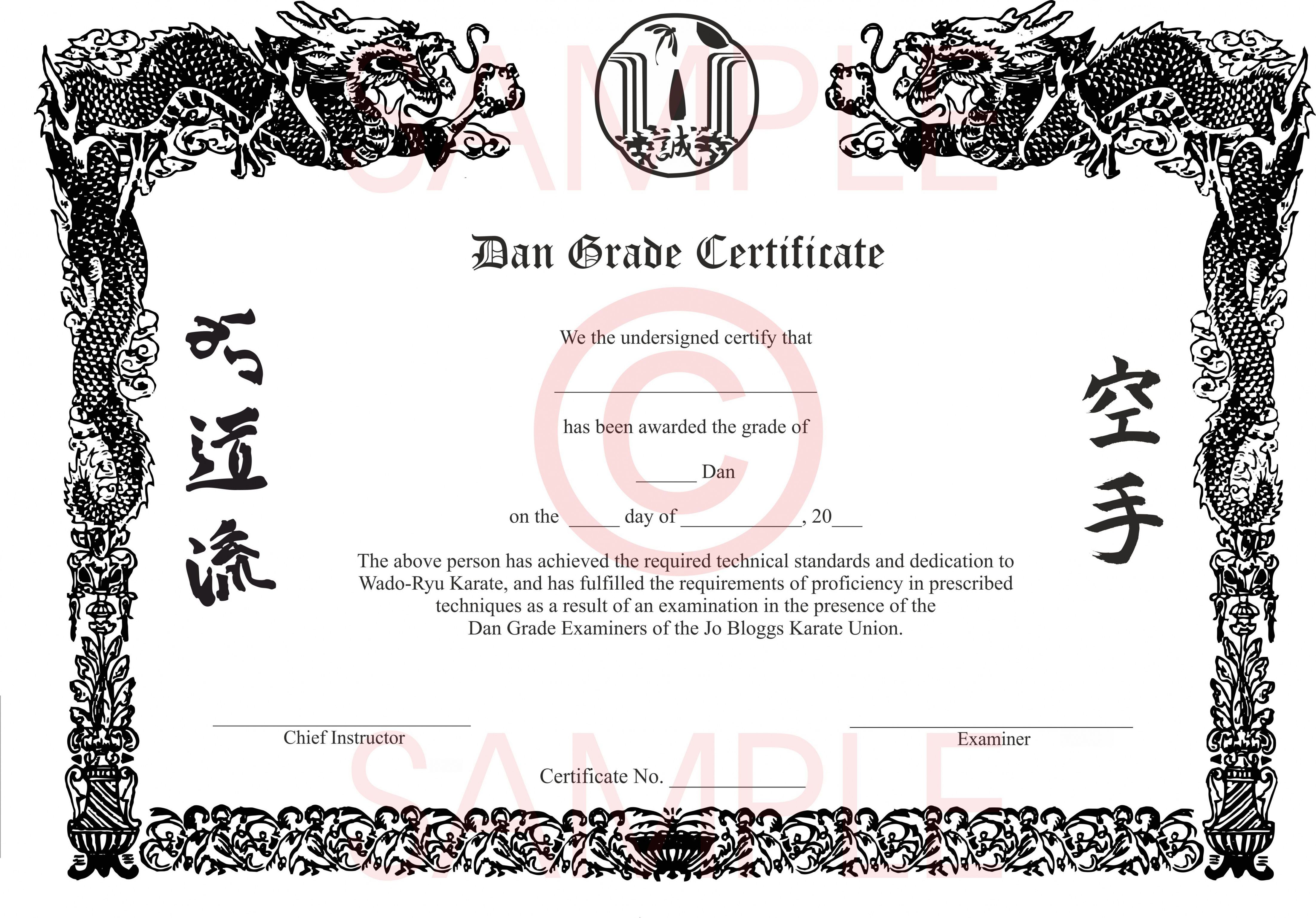 Get Our Free Karate Certificate Template | Art certificate, Certificate