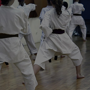 Seido Karate