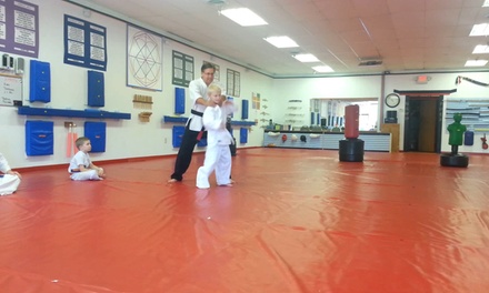 AA Kenpo Karate - From $30 - Strongsville, OH | Groupon