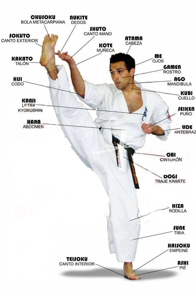 Épinglé par Tj Narcisse Sr sur Karate | Karaté kyokushin, Karaté