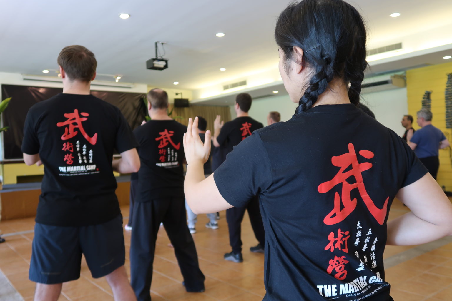 INTERNAL MARTIAL ARTS TRAINING - THE MARTIAL CAMP