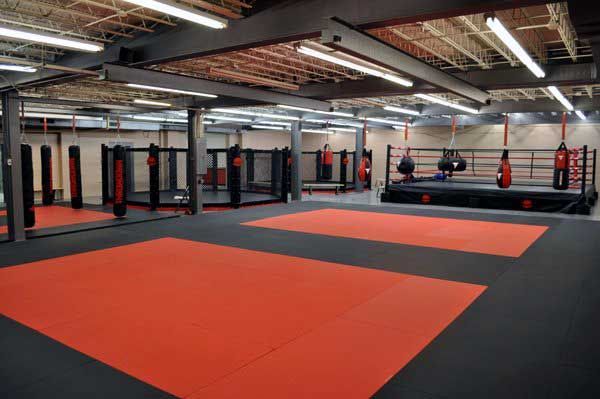 Mixed Martial Arts Gym | Mma gym, Fight gym, Martial arts gym