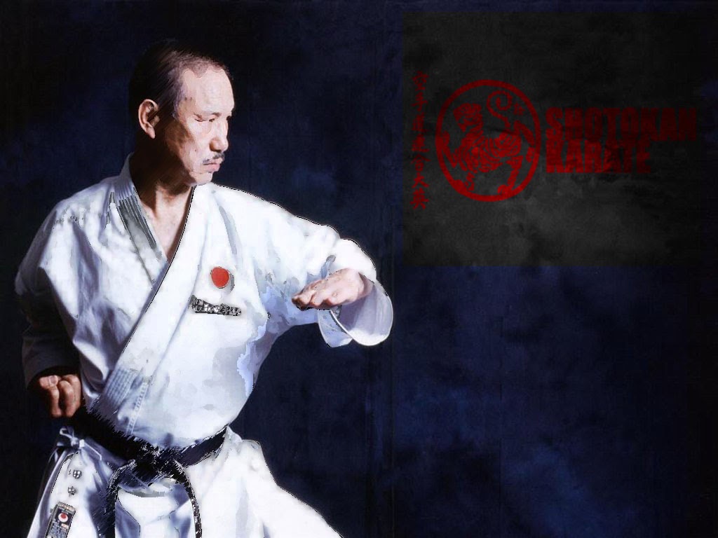 The Karate Kid Blog: Shotokan karate