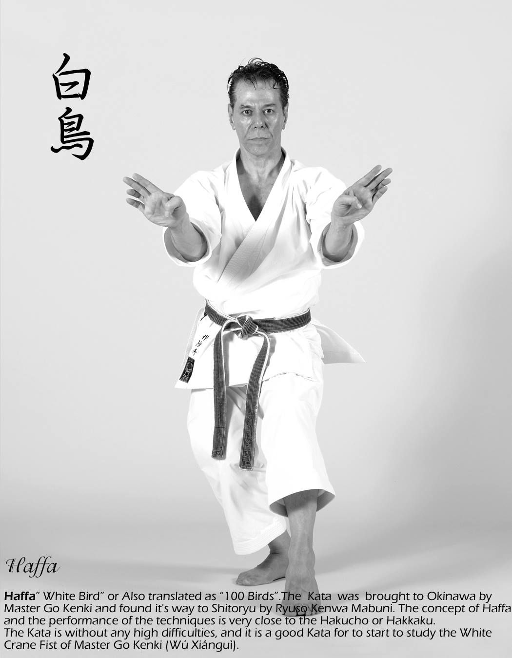 Pin by Tanzadeh Shitokai on Shito-ryu karate | Karate martial arts