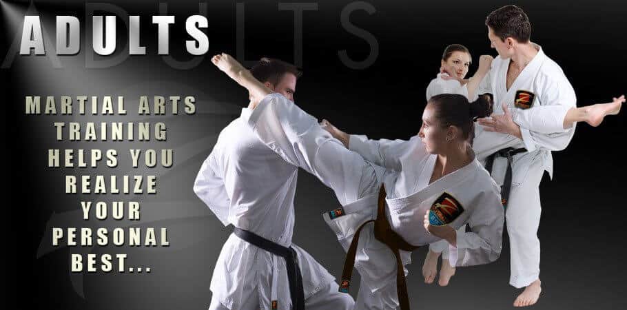 Martial Arts for Adults Program