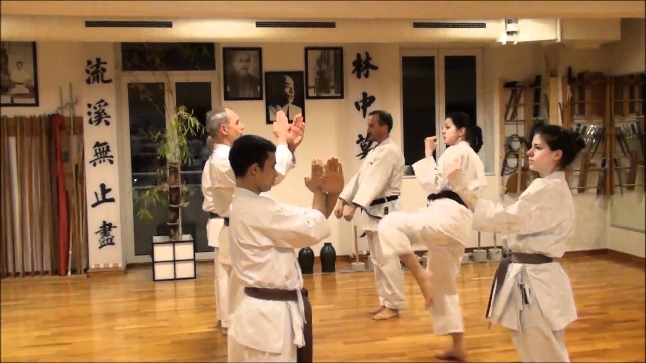 Shorin-Ryu Seibukan Karate - Germany - YouTube