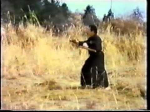 SHITO-RYU karate-do MASTERS | Shito ryu karate, Karate, Karate training