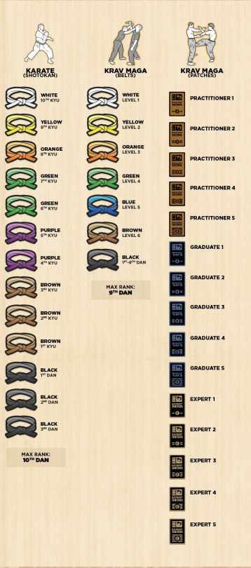 Every Single Martial Arts Belt | TFE Times