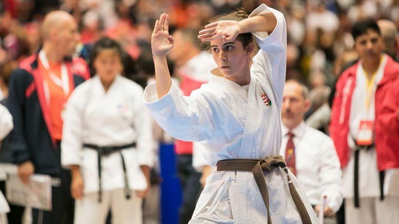 JKA World Karate Championships | Limerick.ie